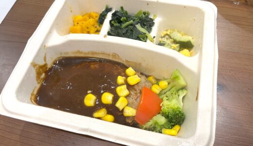 【nosh】「ハンバーグと彩り野菜デミ」を食べてみた！無難すぎるのにリピート確定のワケ