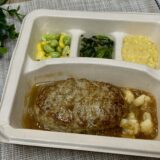 【nosh】オニオングリルハンバーグを食べてみた感想｜ふわっふわすぎて脳内しなぷしゅ発動!?