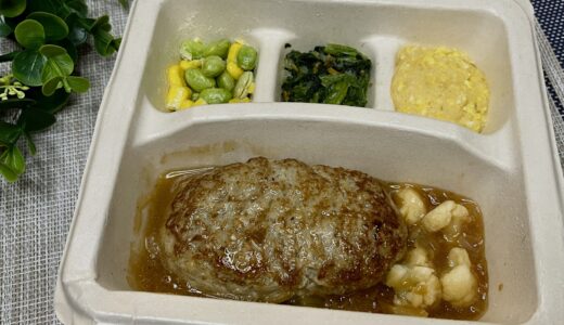 【nosh】オニオングリルハンバーグを食べてみた感想｜ふわっふわすぎて脳内しなぷしゅ発動!?